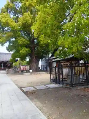 島頭天満宮(大阪府)