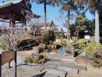 善導寺(群馬県)