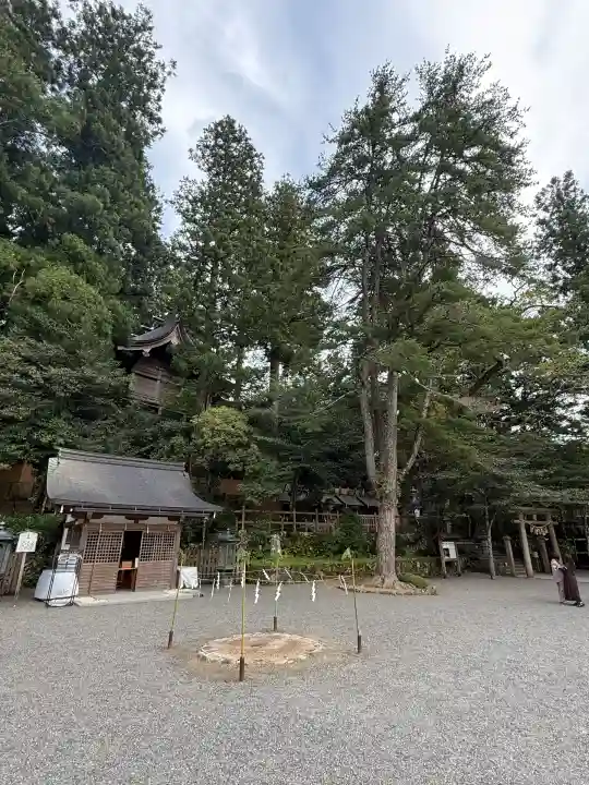 天河大辨財天社(奈良県)