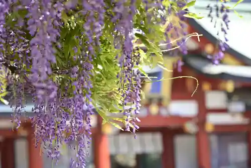 日枝神社の自然
