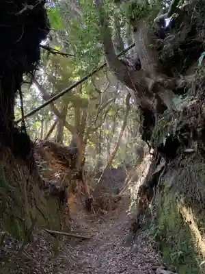大杉神社の周辺
