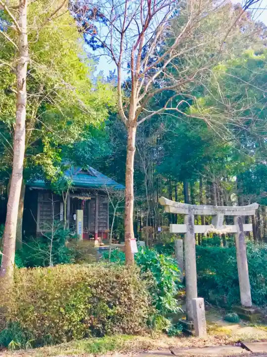 伊保田神社の鳥居
