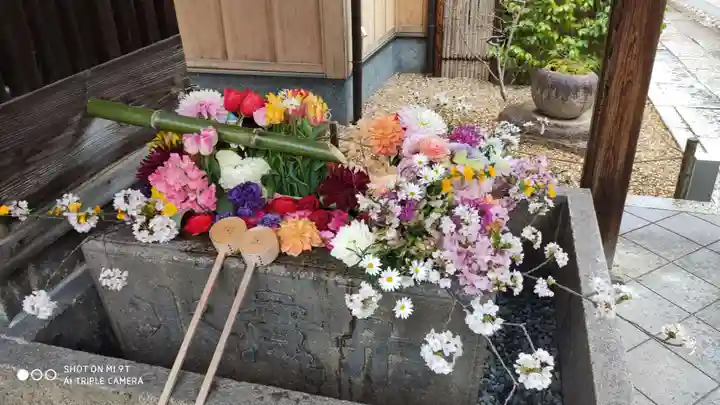 勝林寺の手水舎