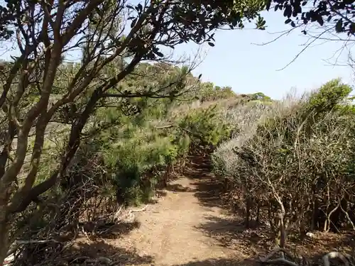 胡禄神社の自然