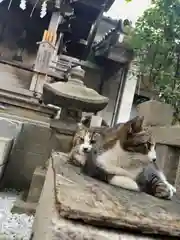 小野照崎神社の動物