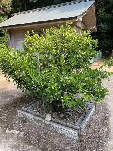 水主神社(香川県)