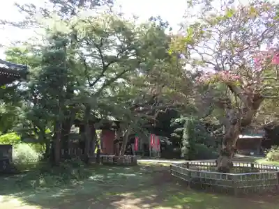 金乘院(千葉県)