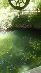 唐澤山神社の庭園