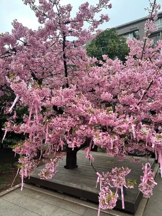 桜神宮(東京都)