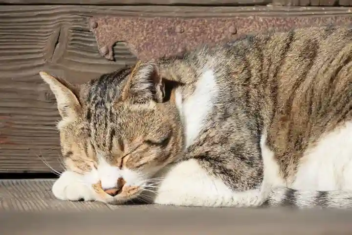 阿邪訶根神社(福島県)