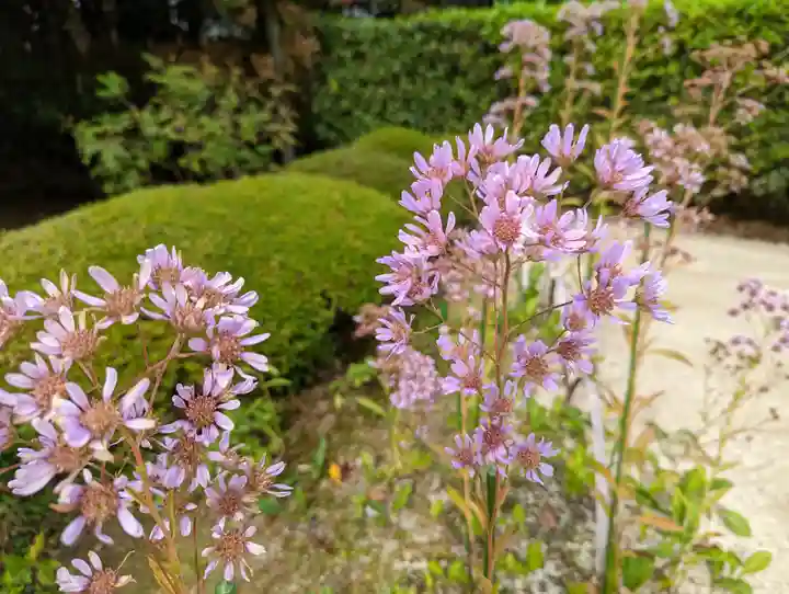 詩仙堂(丈山寺)(京都府)