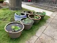 時宗総本山 遊行寺(正式:清浄光寺)のその他建物