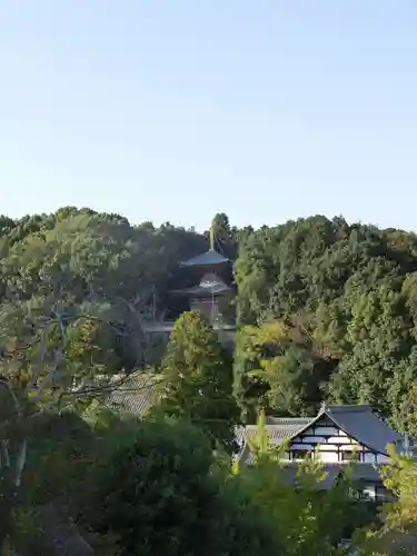 瀧谷不動尊　明王寺の景色