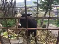 賀茂別雷神社の動物