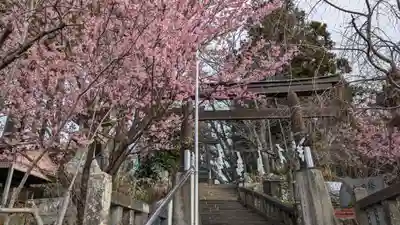 琴平神社の自然
