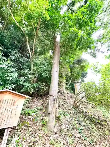 高瀧神社(千葉県)