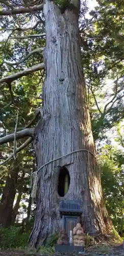 阿久津「田村神社」（郡山市阿久津町）旧社名：伊豆箱根三嶋三社の末社