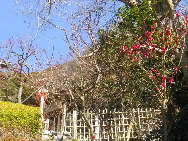 荏柄天神社の庭園