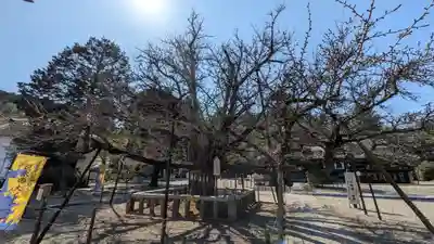 誕生寺(岡山県)