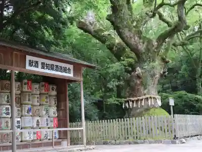 熱田神宮(愛知県)