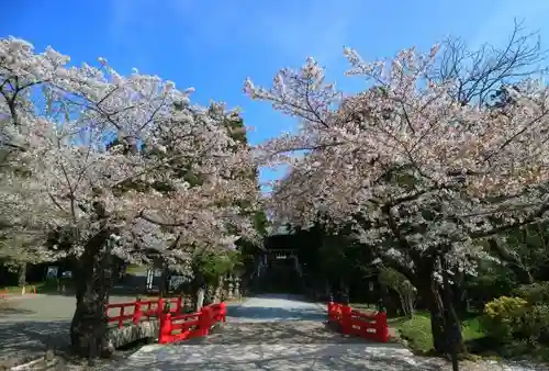 仙台東照宮の自然