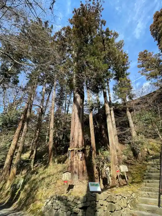 石山寺(滋賀県)