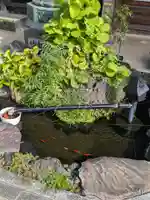 了俒寺(東京都)