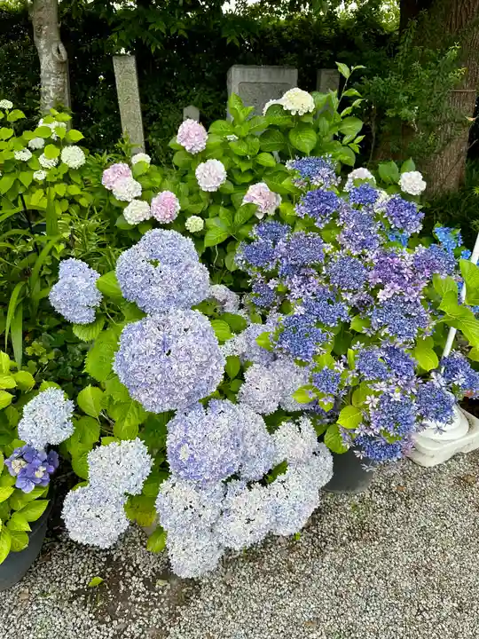 源九郎稲荷神社(奈良県)