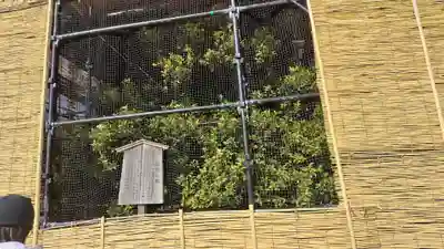 平安神宮(京都府)