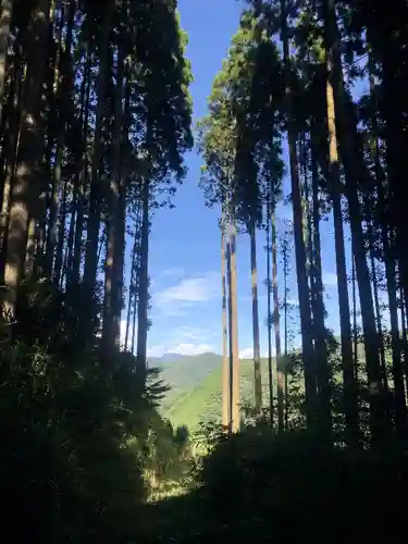 向山神社の景色