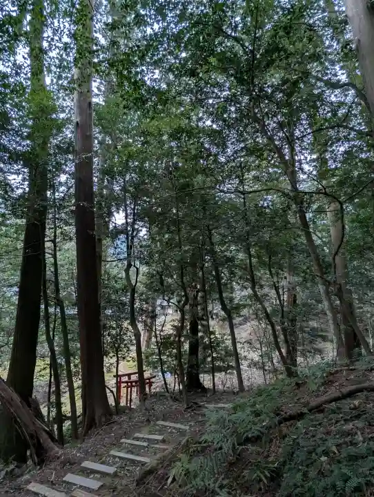 粟鹿神社の{uncategorized: "未分類", other: "その他", undefined: "問題あり", building: "その他建物", grave: "お墓", sacred_gate: "鳥居", guardian: "狛犬", statue: "像", buddha: "仏像", history: "歴史", nature: "自然", garden: "庭園", animal: "動物", pagoda: "塔", temizu: "手水舎", mountain_gate: "山門・神門", sanctuary: "本殿・本堂", subordinate: "末社・摂社", art: "芸術", scenery: "景色", jizo: "地蔵", ema: "絵馬", goshuin: "御朱印", omikuji: "おみくじ", items: "授与品その他", amulet: "お守り", goshuincho: "御朱印帳", eats: "食事", festival: "お祭り", votive_dance: "神楽", shichigosan: "七五三参", wedding: "結婚式", experience: "体験その他", initially: "初詣", around: "周辺", anti_infection: "感染症対策"}