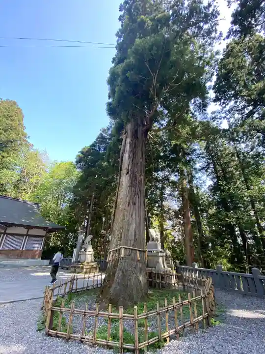 戸隠神社中社(長野県)