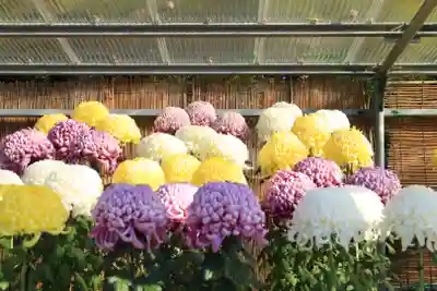 橿原神宮(奈良県)