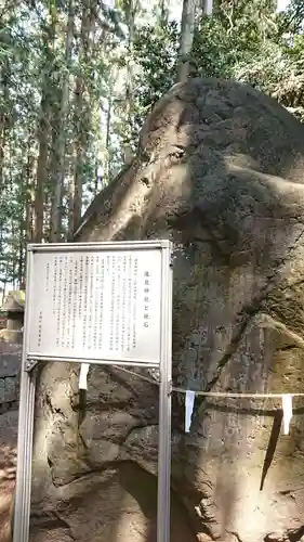 瀧泉神社の自然