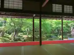 圓光寺の庭園