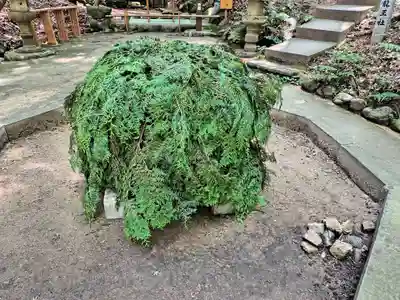 星田妙見宮(大阪府)