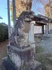 有鹿神社の狛犬