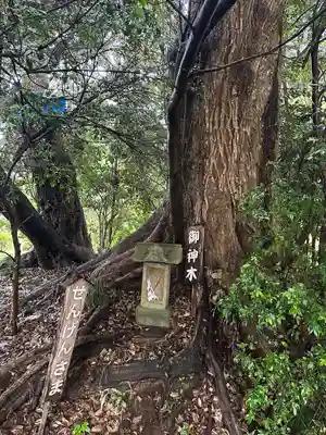 二宮神社(千葉県)