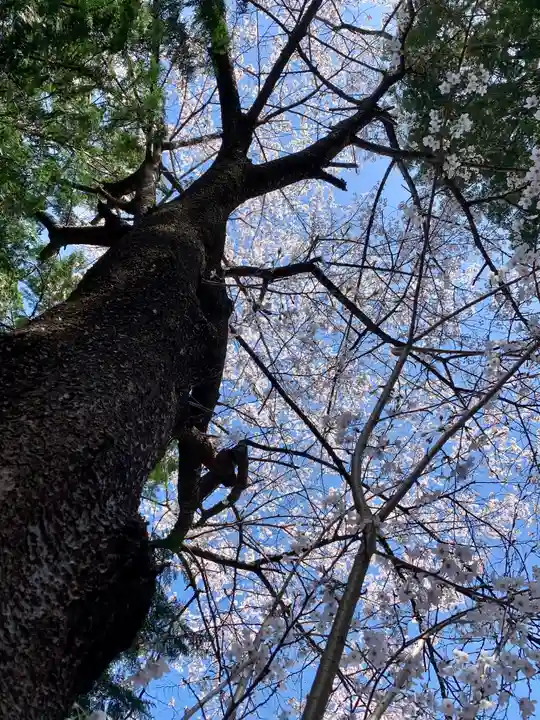 滑川神社 - 仕事と子どもの守り神の自然
