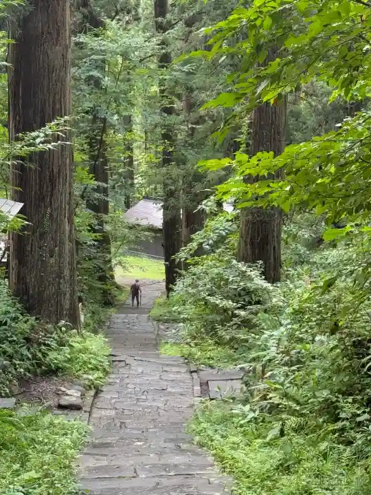 羽黒山五重塔(出羽三山神社)(山形県)