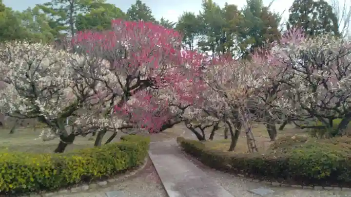 梅林寺(福岡県)