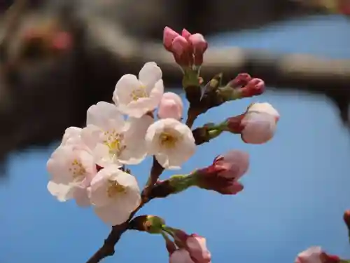 三輪神社の庭園