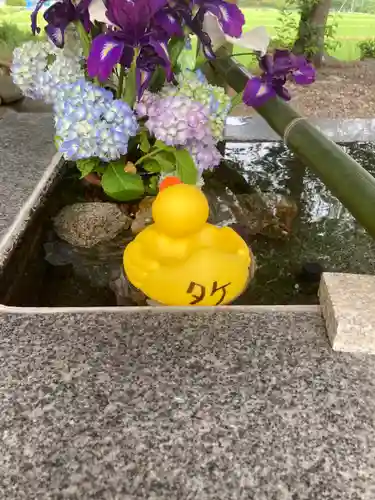 高司神社〜むすびの神の鎮まる社〜の手水