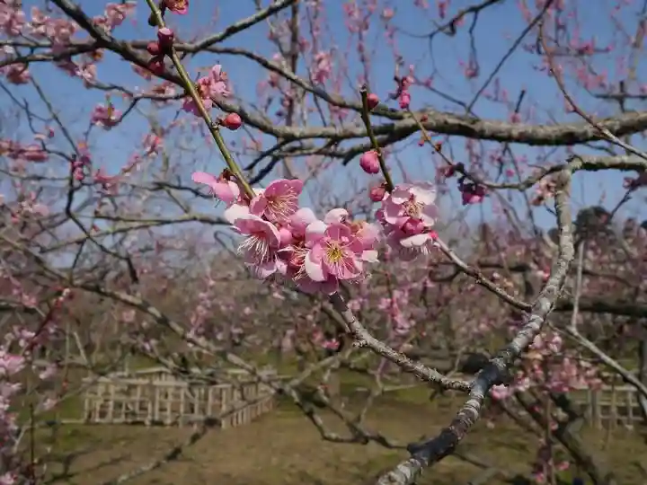 常磐神社の周辺