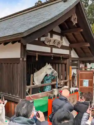 賀茂別雷神社（上賀茂神社）の{uncategorized: "未分類", other: "その他", undefined: "問題あり", building: "その他建物", grave: "お墓", sacred_gate: "鳥居", guardian: "狛犬", statue: "像", buddha: "仏像", history: "歴史", nature: "自然", garden: "庭園", animal: "動物", pagoda: "塔", temizu: "手水舎", mountain_gate: "山門・神門", sanctuary: "本殿・本堂", subordinate: "末社・摂社", art: "芸術", scenery: "景色", jizo: "地蔵", ema: "絵馬", goshuin: "御朱印", omikuji: "おみくじ", items: "授与品その他", amulet: "お守り", goshuincho: "御朱印帳", eats: "食事", festival: "お祭り", votive_dance: "神楽", shichigosan: "七五三参", wedding: "結婚式", experience: "体験その他", initially: "初詣", around: "周辺", anti_infection: "感染症対策"}