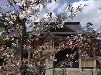 總社 和田八幡宮(福井県)