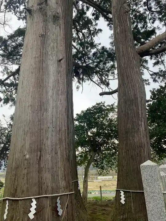 佐味神社の自然