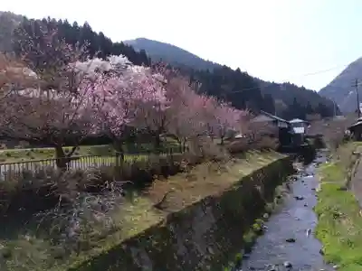 西雲寺(福井県)