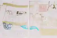 小野照崎神社の御朱印