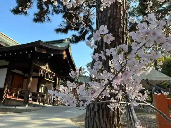 住吉大社(大阪府)